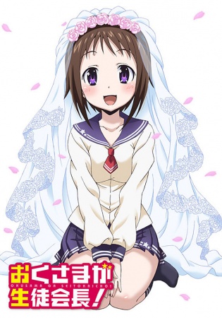 Okusama ga Seitokaichou! [SS1][BD]