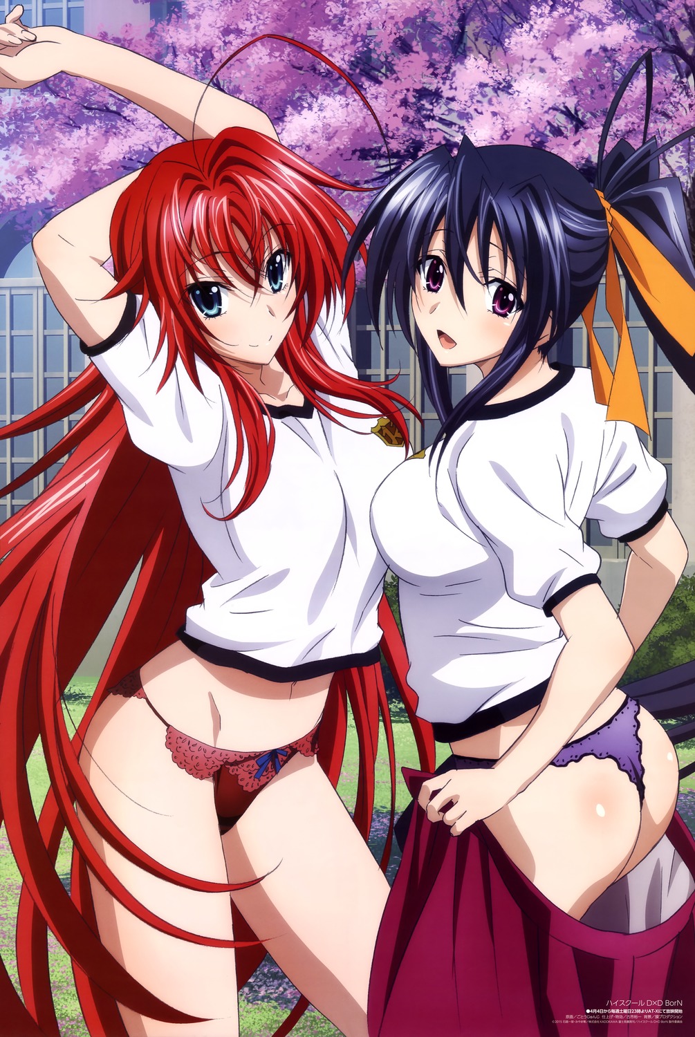 High School DxD BorN [SS3][BD]