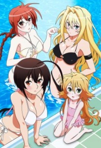 Sekirei: Hajimete no Otsukai