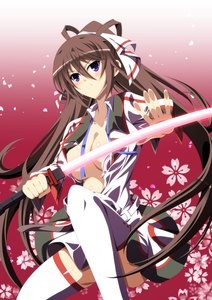 IS: Infinite Stratos 2 – World Purge-hen [BD]