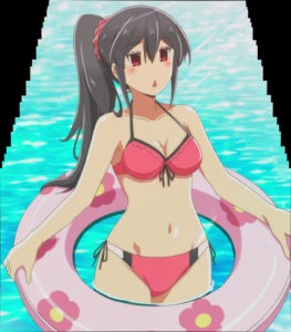 Oneechan ga Kita Special