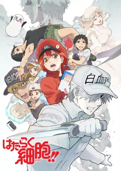 Hataraku Saibou !! [SS2]